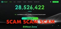 ПОЛНЫЙ РАЗБОР  BitNest !